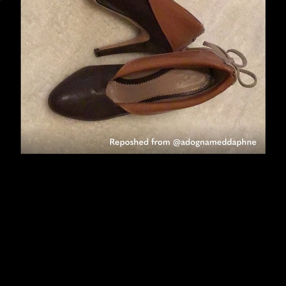 Gina Rutledge - Picture 4 of 4